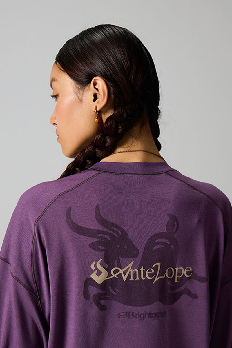 バックプリント動物柄Tシャツ25BLCT019